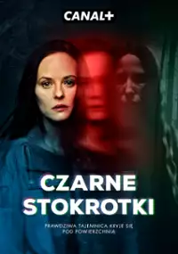 постер Чёрные маргаритки